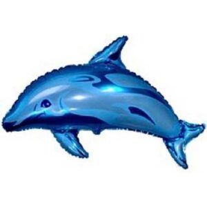 Дельфин голубой