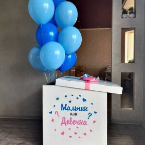 Фонтан из шаров на Гендер Пати