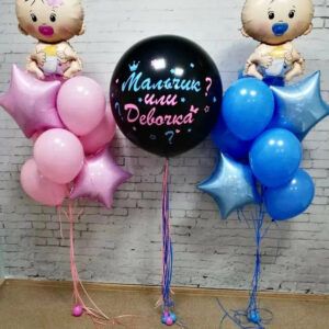 Гендер шар Мальчик или Девочка